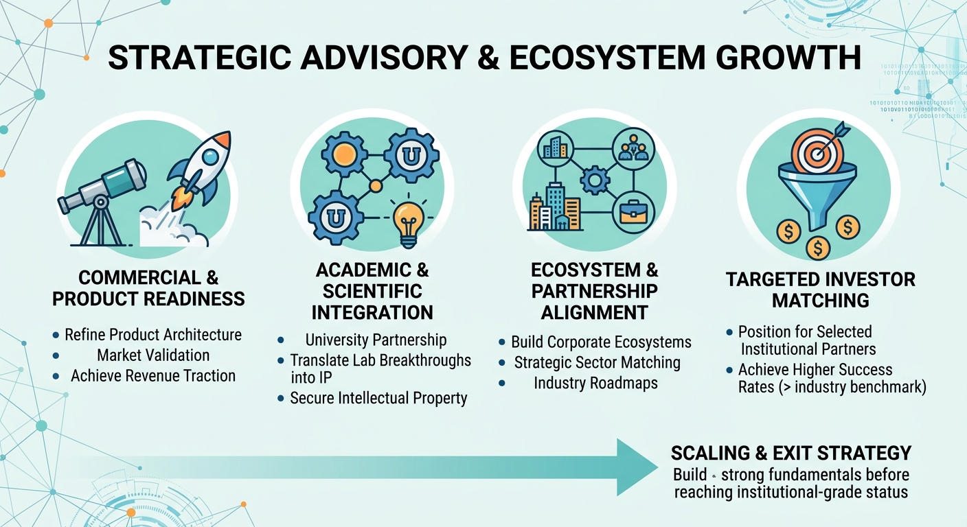 Strategic Advisory Beyond Traditional Venture Capital for Scale-Ups and Research Spin-Outs Tunisia